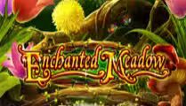 Enchanted Meadow