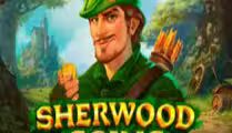 Sherwood Coins: Hold and Win