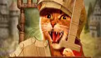 Feline Fury