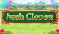 Irish Clover