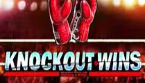 Knockout Wins