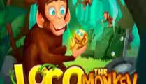 Loco the Monkey