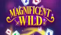 Magnificent Wild