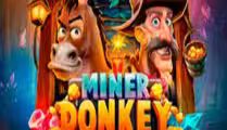 Miner Donkey Trouble