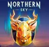 Northern Sky