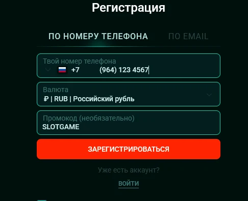 Поле промокода и детали Pinco