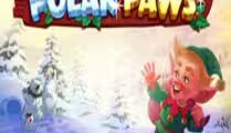 Polar Paws