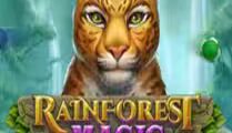 Rainforest Magic Bingo