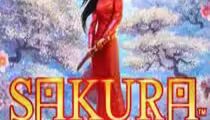 Sakura Fortune