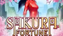 Sakura Fortune Epic Bloom