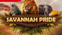 Savannah Pride