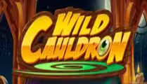 Wild Cauldron