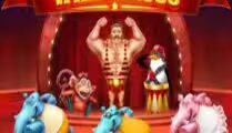 Wild Circus