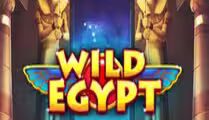 Wild Egypt