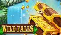Wild Falls