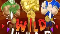 Wild Luchador