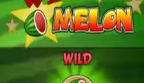Wild Melon