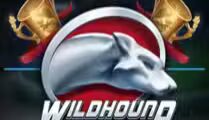 Wildhound Derby