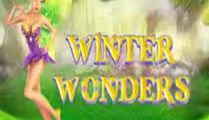 Winter Wonders