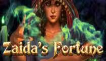Zaida’s Fortune
