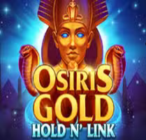 Osiris Gold Hold n Link