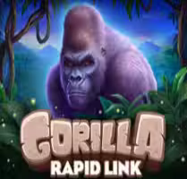 Gorilla: Rapid Link