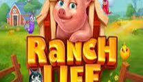 Ranch Life