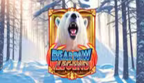 Bear Paw Legend