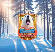 Bear Paw Legend