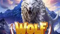 Caucasian Wolf