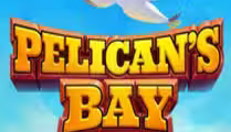 Pelican’s Bay Rapid Link