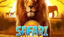 Safari Wilds