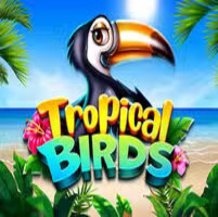 Tropical Birds