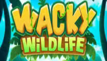 Wacky Wildlife