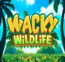 Wacky Wildlife