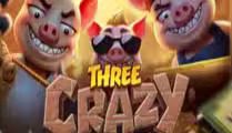 Three Crazy Piggies