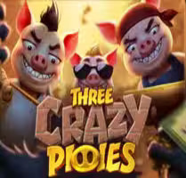 Three Crazy Piggies