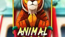 Animal Dojo
