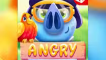 Angry Piggies