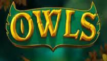 Owls