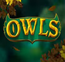 Owls