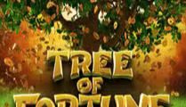 Tree of Fortune