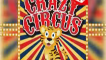 Crazy Circus