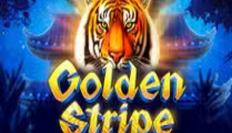 Golden Stripe