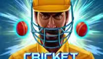 Cricket Crash