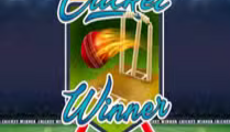 Cricket Winner