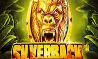 Silverback Gold