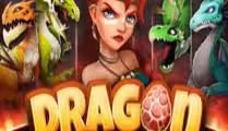 Dragon Tribe