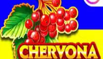 Chervona Kalyna