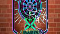 Darts Champion